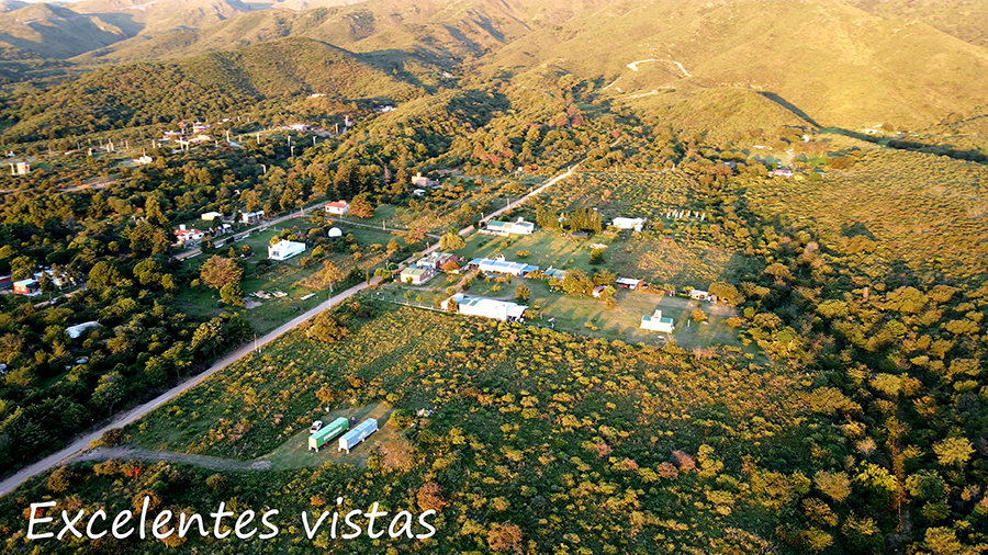 Imagen4.jpg