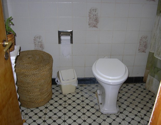 6291e8c044.jpg