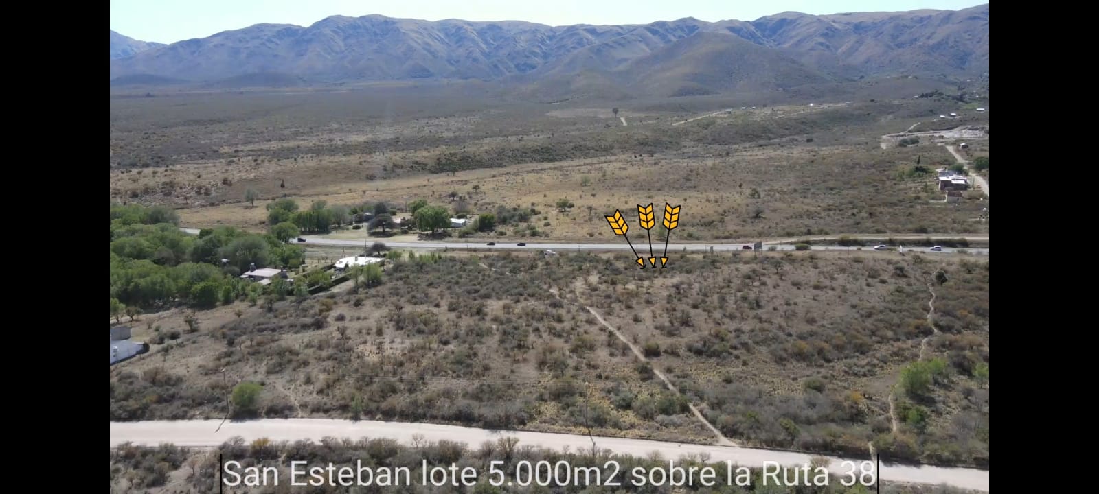 858e8a2471.jpeg